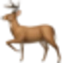 DeerFlow logo