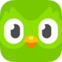 Duolingo logo