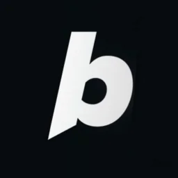 Bolt logo