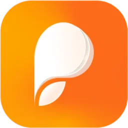 Persuva logo