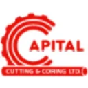 Pippit logo